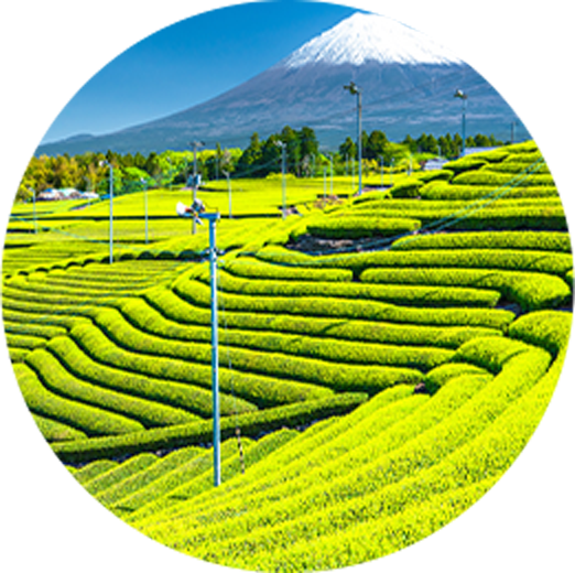静岡県